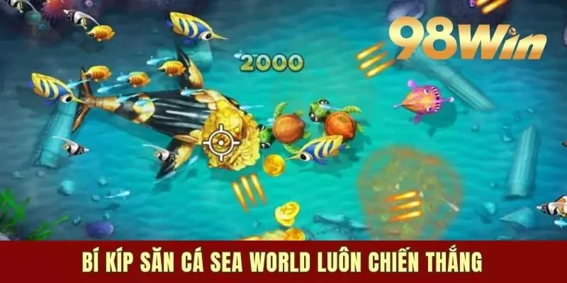 Bí kíp săn cá Sea World luôn chiến thắng
